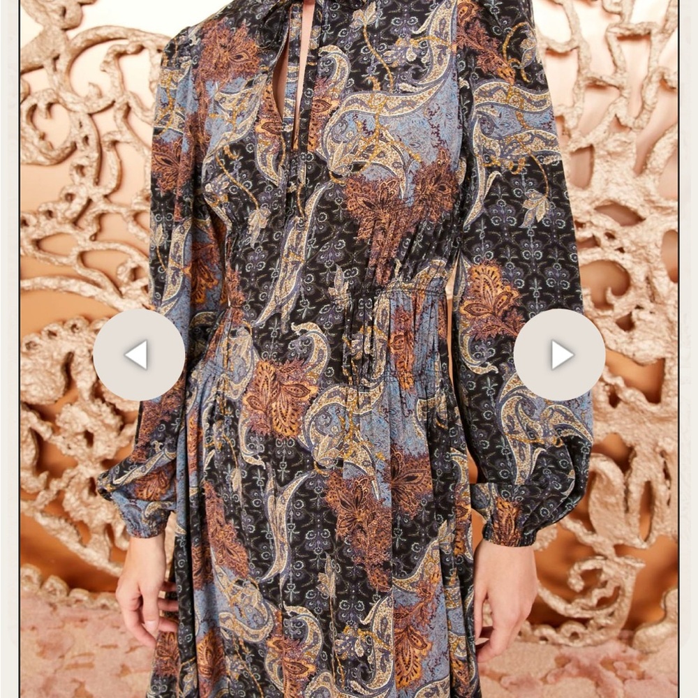 Ulla Johnson Paisley Long Sleeve Dress - Picture 12 of 15